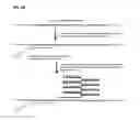 Fig. 06 - Methods and compositions for detection of small RNAs