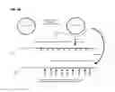 Fig. 07 - Methods and compositions for detection of small RNAs