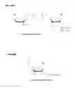 Fig. 49 - Methods and compositions for detection of small RNAs