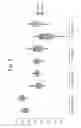 Fig. 06 - Microbial population analysis