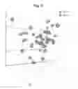 Fig. 07 - Microbial population analysis