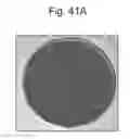 Fig. 46 - Microbial population analysis