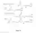 Fig. 11 - FRET-labeled compounds and uses therefor