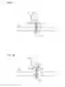 Fig. 06 - SINGLE MOLECULE NUCLEIC ACID SEQUENCING WITH MOLECULAR SENSOR COMPLEXES
