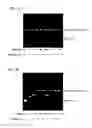 Fig. 12 - SINGLE MOLECULE NUCLEIC ACID SEQUENCING WITH MOLECULAR SENSOR COMPLEXES