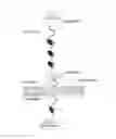 Fig. 01 - Nanopore-based single DNA molecule characterization, identification and isolation using speed bumps
