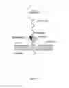 Fig. 08 - Nanopore-based single DNA molecule characterization, identification and isolation using speed bumps