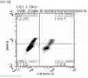 Fig. 02 - METHODS FOR DETECTING TELOMERE MAINTENANCE MECHANISMS