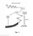 Fig. 02 - Detecting methylation in a subpopulation of genomic DNA