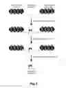 Fig. 04 - Detecting methylation in a subpopulation of genomic DNA