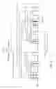 Fig. 05 - MDM2-containing double minute chromosomes and methods therefore