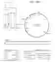 Fig. 11 - MDM2-containing double minute chromosomes and methods therefore