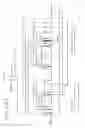 Fig. 14 - MDM2-containing double minute chromosomes and methods therefore