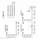 Fig. 09 - Compositions and methods for determining whether a subject would benefit from co-receptor inhibitor therapy