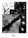 Fig. 13 - Method for fabricating carbon-based composite material