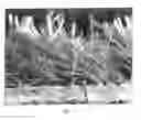 Fig. 06 - FLOCKED MATERIAL AND PROCESS TO PRODUCE IT