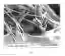 Fig. 07 - FLOCKED MATERIAL AND PROCESS TO PRODUCE IT