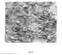 Fig. 08 - FLOCKED MATERIAL AND PROCESS TO PRODUCE IT