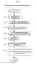 Fig. 13 - Processing apparatus for processing subject