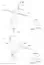 Fig. 49 - Processing apparatus for processing subject