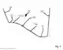 Fig. 03 - CONTOURED SURFACE ANNULAR SECTION OF A GAS TURBINE