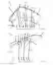 Fig. 03 - Guide vane segment for a turbomachine