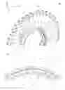 Fig. 02 - Inner ring and guide vane cascade for a turbomachine