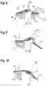 Fig. 06 - Method for manufacturing a catalytic converter housing arrangement with at least one sensor carrier for an exhaust system of a vehicle
