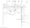 Fig. 01 - Combustion Chamber Structure for Diesel Engine