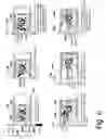 Fig. 07 - Variable compression connecting rod