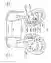 Fig. 04 - Hypocycloidal methods and designs for increasing efficiency in engines