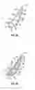 Fig. 03 - Baffle insert for a gas turbine engine component and method of cooling