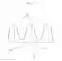 Fig. 12 - Block insert and cylinder structure of vehicle engine including the same