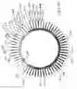 Fig. 09 - Direct Drive Ceiling Fan