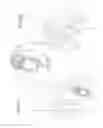 Fig. 14 - Hand-actuated closing device with a delaying system