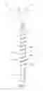 Fig. 11 - Fastener