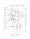 Fig. 01 - Transmission for the powertrain of a rail vehicle