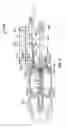 Fig. 09 - Low emission nozzles and receptacles