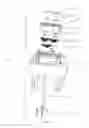 Fig. 09 - Decorative lighting apparatus having two laser light sources