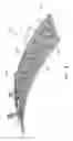Fig. 09 - Gas turbine engine wall assembly with enhanced flow architecture