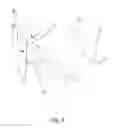 Fig. 03 - Pocket carried holster