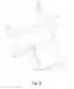 Fig. 07 - Pocket carried holster