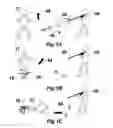 Fig. 02 - Device for non-lethal immobilization of threats