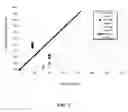Fig. 04 - DEGRADABLE SHOTGUN WAD