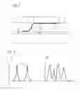 Fig. 03 - Fiber-optic sensor and method for the production and use thereof