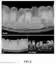 Fig. 03 - AQUEOUS TISSUE CLEARING SOLUTION AND USES THEREOF