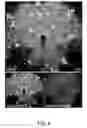 Fig. 05 - AQUEOUS TISSUE CLEARING SOLUTION AND USES THEREOF