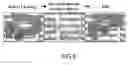 Fig. 06 - AQUEOUS TISSUE CLEARING SOLUTION AND USES THEREOF