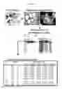 Fig. 07 - MULTIPLEX IMMUNOHISTOCHEMISTRY IMAGE CYTOMETRY