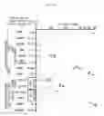 Fig. 15 - MULTIPLEX IMMUNOHISTOCHEMISTRY IMAGE CYTOMETRY